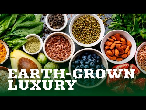 Food Revolution | Organic Elegance for Discerning Tastes