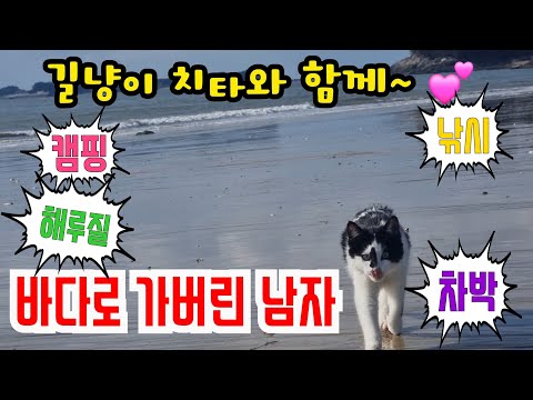 길고양이 치타와 보령 오봉산해수욕장에서 해루질해 보니~ #해루질 #낚시 #캠핑 #여행 #차박