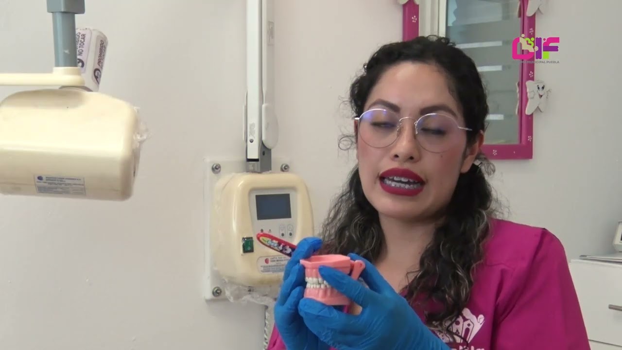 ¿Cómo cepillar correctamente tus dientes?