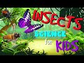 Insect Anatomy and Characteristics
