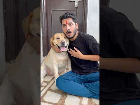 Dog Lover 🐕❤️ | SourShy Shorts| #Shorts#dog#adorable#cute #sourshychannel#youtubeshorts#viral video