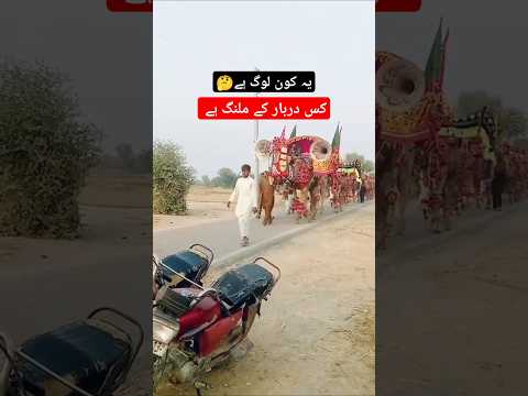 Darbar culture in Punjab