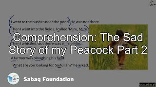 Comprehension: The Sad Story of my Peacock Part 2