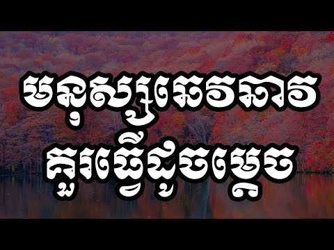 មនុស្សឆេវឆាវគួរធ្វើដូចម្ដេច