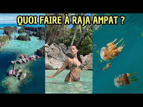 Quoi faire à Raja Ampat? Transports, Hébergement, Activités... (vlog voyage)
