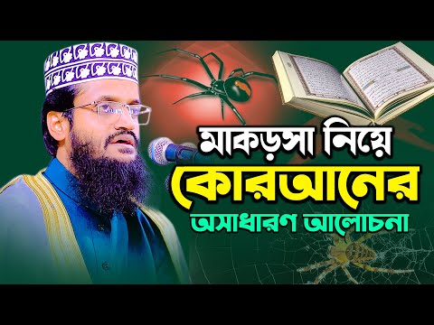 মাকড়সা নিয়ে কোরআনের অসাধারণ আলোচনা  Abdullah Al Amin 2025 waz | আব্দুল্লাহ আল আমিন muslim tv