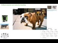 Artificial Selection and Selective Breeding