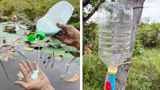 Part4 | Survival Skills: SMART idea and USEFUL in forest #camping #outdoors #bushcraft 