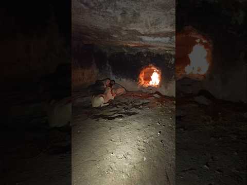Discovering a Hidden Cave Shelter in the Wild with My Dog 🏕️ | Bushcraft Survival Adventure