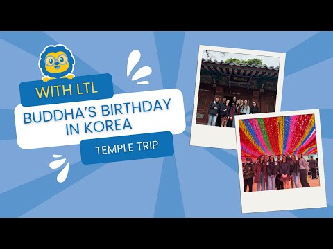 Buddha’s Birthday in Korea 🪷 // LTL Culture Day Temple Trip Experience