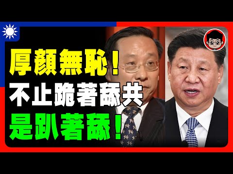 【瘋狂打臉】中共大外宣：中國有言論自由，但我不敢説習維尼！把台灣2300萬人關集中營！習近平 一国两制 財商思維 个人成长 统一 兩岸 习近平 自我提升 中共 九二共识 財富自由 反共 台独 中華民國