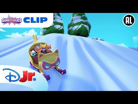 ❄️ Sneeuwvrij | Super Katjes | Disney Junior BE