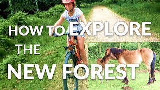 Cycling in the New Forest - How To Explore The New Forest | Cyclexperience