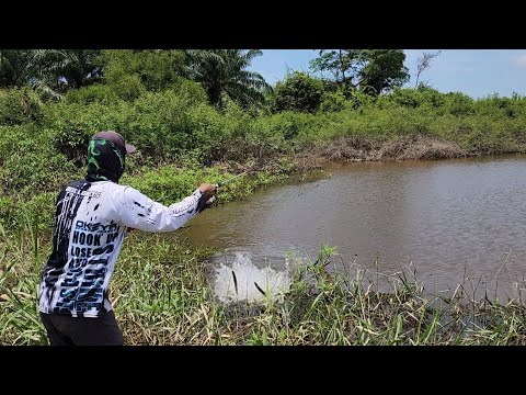 DAHSYAT NYA TRIP MANCING DI AWAL MUSIM HUJAN BADAI || SPOT BARU DI HUNI IKAN GABUS BESAR