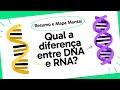 DNA and RNA Concepts Review