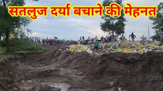 Satluj Darya Bachane ki Mehnat 