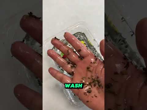 hands got dirty with mud😳😱~mini wood toy-woodworking art skill #shorts #tiktokeffects