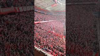 24.01.2026❤️Südkurve München🤍FC Bayern - FC Augsburg 1:2 (Saison 2025/26)⚽️ #bundesliga #fcbayern