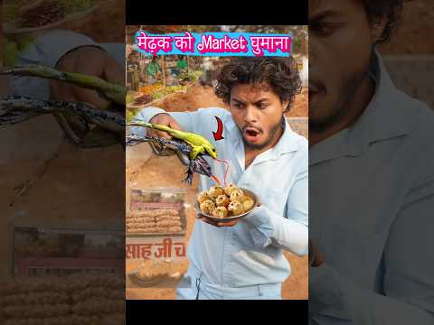 मेंढक🐸को Market घूमाने जाना!#frog #funny