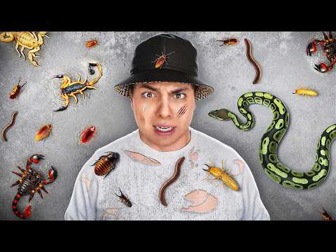 24 HORAS SUPERANDO FOBIAS DE MIS AMIGOS 🕷️🐍 *pánico* | El Tío Néstor 💡