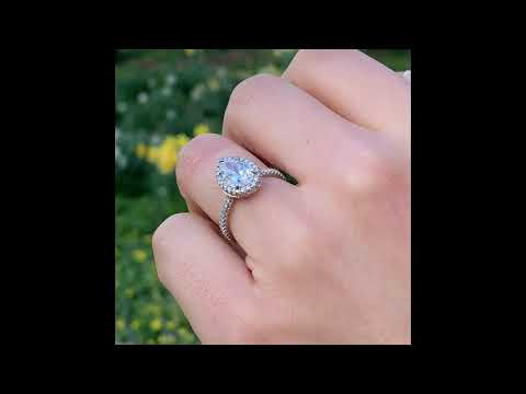 NYC Proposal Series: Central Park