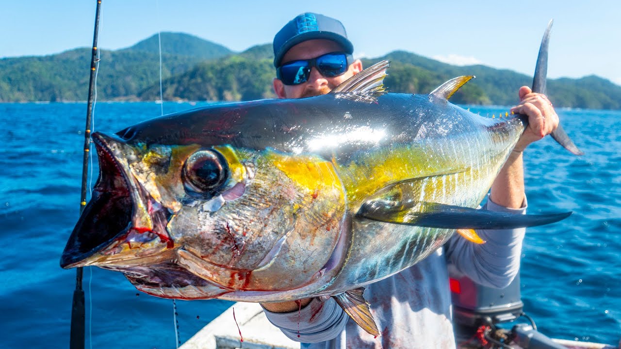 Kayak Fishing: BIG Tuna & Hammerhead Sharks Offshore #FieldTrips Panama