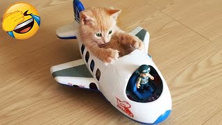 Try Not To Laugh 😂 Funny Animals Videos Of Cats🐈 And Dogs🐕 2025 Part .04
