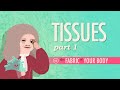 Exploring Body Tissues: Types and Functions
