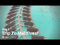 Aina's Travel Experience and Activities
