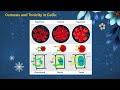 Cell Transport and Homeostasis Challenge