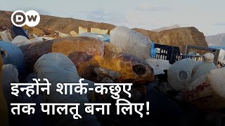 इंस्टाग्राम पर कोई नहीं दिखाता यह वाला केप वर्डे [Dark side of Cape Verde] | DW Documentary हिन्दी