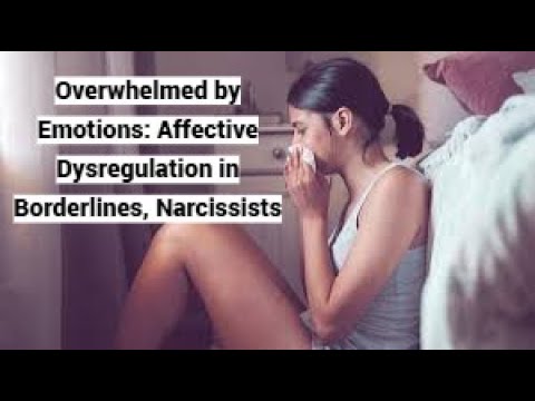 Overwhelmed by Emotions: Affective Dysregulation in Borderlines, Narcissists