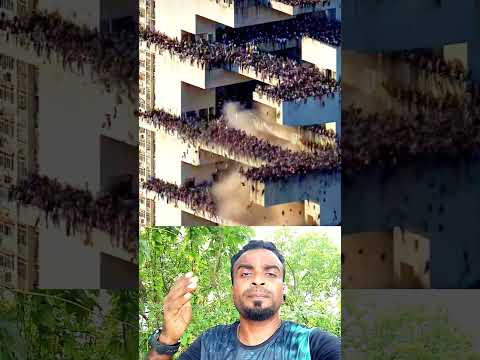 গার্মেন্টসের দুর্ঘটনা ঘটে গেল গাজীপুর #funnyvideo #comedymove #viralvideo #duet #automobile
