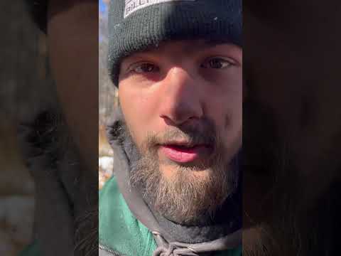 Living in the woods #willsurvives #alaskanadventure #offgridcabin #bushcraft #winter #offgridhome