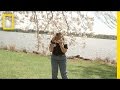 Exploring Washington DC and Nature's Contrasts