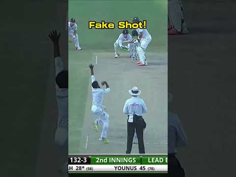 Amazing Cricket Moments!