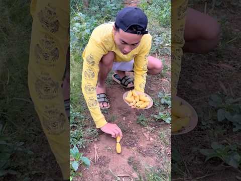 Ngurutin Pisang Sebelum Matahari Terbenam