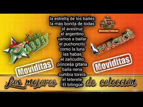 Moviditas 🤠 maguey y machos