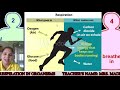 Anaerobic and Aerobic Respiration Concepts