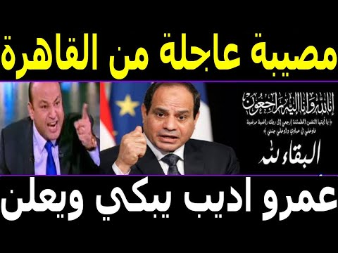 أخبار مصر اليوم الثلاثاء 2024/11/19