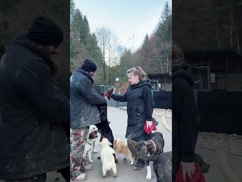 Gerettet ❤️‍🩹  TEIL 2  #savethedogsbih #pleasedonate #tiere #pleasehelp #rescuedogs #puppy