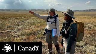 Grasslands Rising | Climate Crew | Parks Canada