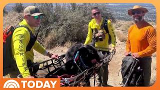 YouTube video thumbnail: Dog Gets Special Rescue After Becoming Too Tired to Finish Hike