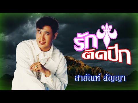 รักติดปีก-สายัณห์ สัญญา