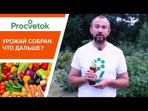 Обязательные работы в саду и огороде после сбора урожая