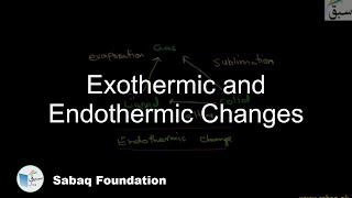 Exothermic and Endothermic Changes