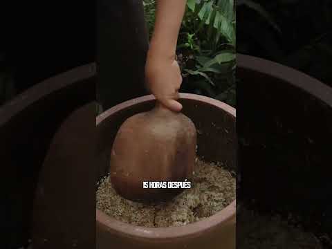 ¡Los chinos son realmente inteligentes!  #funny #youtube #fyp #foryou