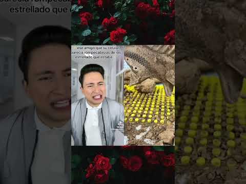Creditos a diego chavez