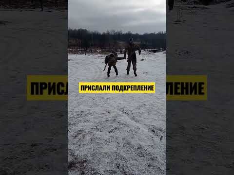 Прислали подкрепление