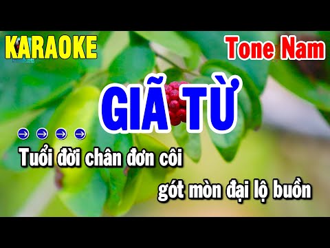 Giã Từ Karaoke Nhạc Sống Tone Nam ( Am ) Beat Phối Hay 2025 | Thanh Hải